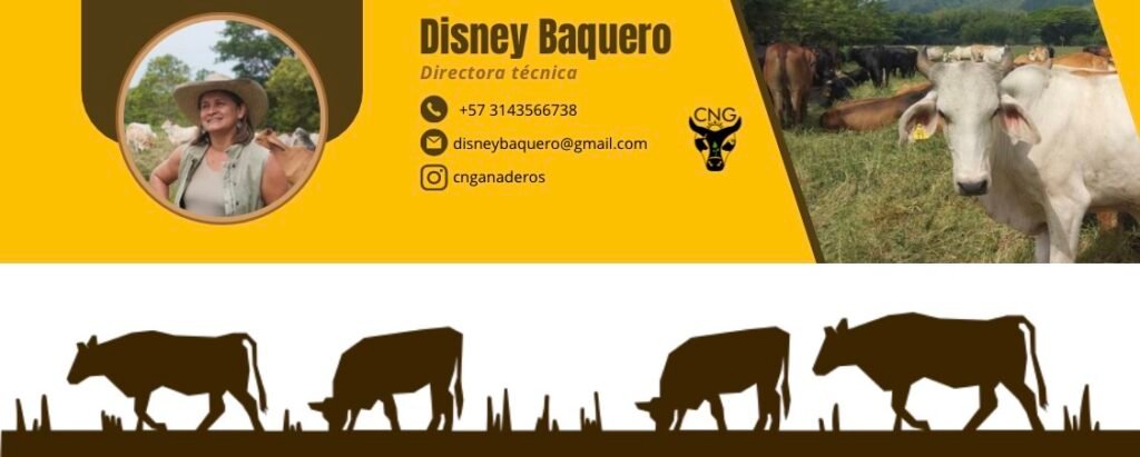 El éxito empresarial está en el propósito